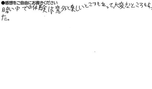 11歳　男性　小学生　視かくしょうがいの人はどのように感じているか知ってもらいたい。